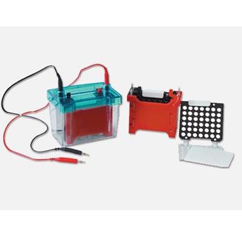 DYCZ 40D - électrophorèse sur cellule